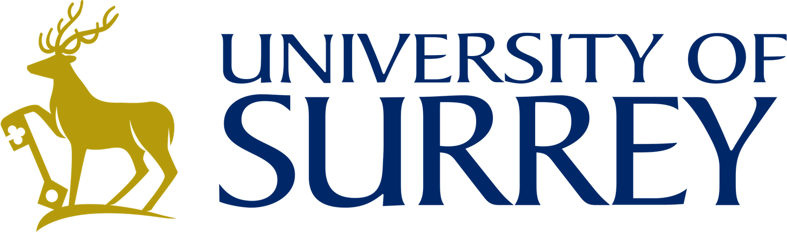 University of Surry